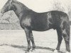 stallion Weitblick (Hanoverian, 1965, from Fernjaeger)