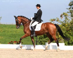 dressage horse Remy Bonjasky (Oldenburger, 2006, from Rubin Royal OLD)