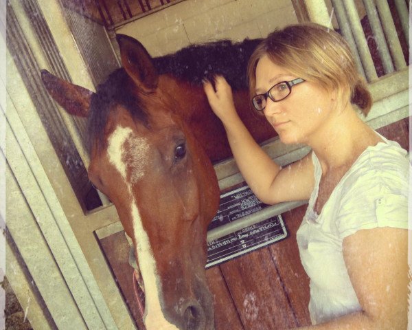 dressage horse Zandiega D. (KWPN (Royal Dutch Sporthorse), 2004, from Krack C)