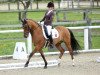 dressage horse Dow Jones 32 (German Riding Pony, 1999, from FS Don't Worry)