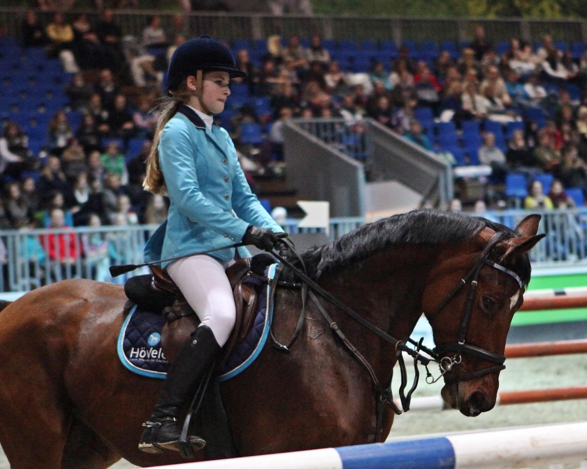 broodmare Karatina (German Sport Horse, 2003, from Kaiserwind)