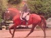 dressage horse Floresco 12 (KWPN (Royal Dutch Sporthorse), 2007, from Florencio I)