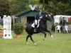 dressage horse Angel's Farah Diba (Welsh-Cob (Sek. C), 1992, from Synod Nickelcoin)