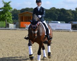 dressage horse Chamberlain (Hanoverian, 1999, from Compliment)