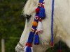 broodmare Ghazaleh ox (Arabian thoroughbred, 1981, from Maddah EAO)