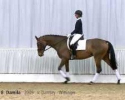 dressage horse Damila (Hanoverian, 2009, from Damsey FRH)