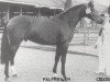 stallion Palfrenier (KWPN (Royal Dutch Sporthorse), 1974, from Joost)