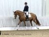 dressage horse Flavius F (Hanoverian, 2010, from Florencio I)