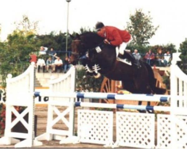stallion Lord de Luxe (Holsteiner, 1987, from Lord)