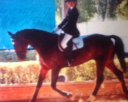 dressage horse Auburn Tic Tak (unknown, 1998)