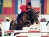 stallion Dornado (Noble Warmblood, 1989, from Donator)