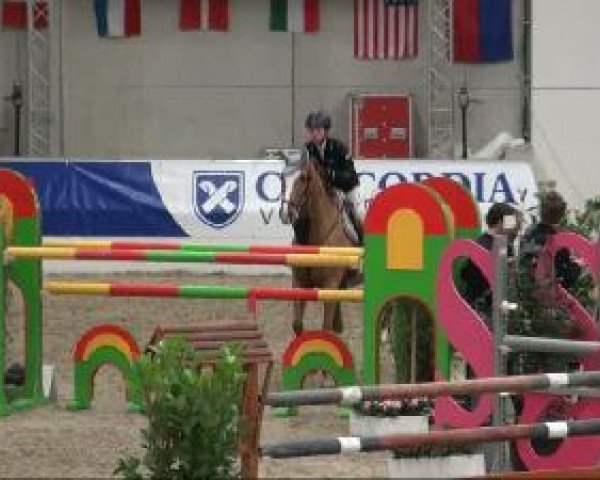 Video of Cordi 3