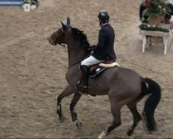 Video of Edelgaard's Saqini