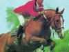 stallion Donbito van de Helle (Belgian Warmblood, 1980, from Goldspring de Lauzelle)