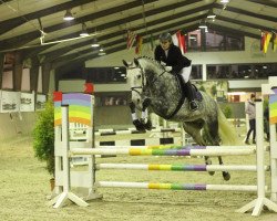 dressage horse Lebensgeist (Westphalian, 2007, from Lebenskünstler)