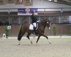 dressage horse Filia Grandiosa (Westphalian, 2007, from Fürst Grandios)