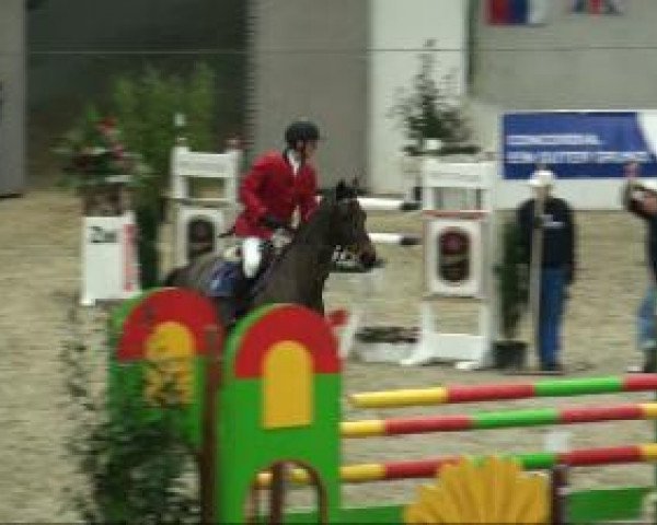 Video of KN Seicalla