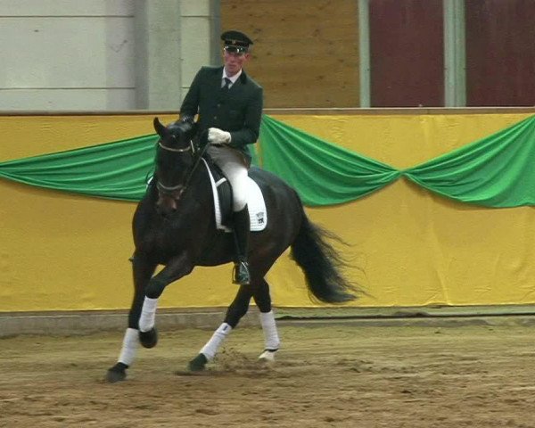 Video of Fürst Wettin