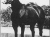 stallion Sonny Dee Bar (Quarter Horse, 1965, from Win Or Lose)