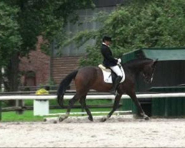 Video of Sir Jasper
