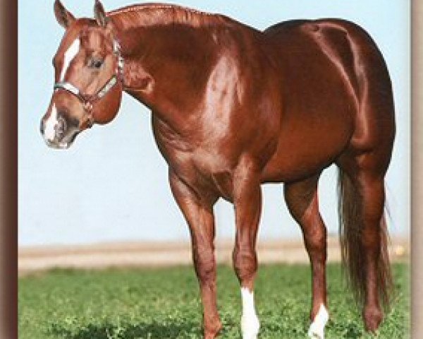 Deckhengst Investment Creditor (Quarter Horse, 1987, von The Big Investment)