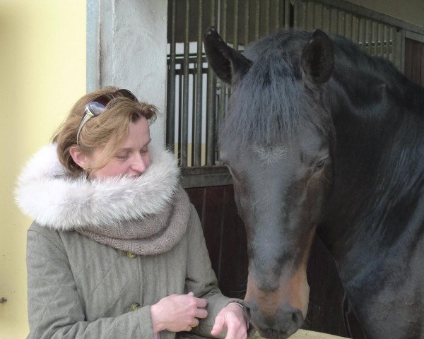 Pferd Riscal (Hannoveraner, 2006, von Rohdiamant)