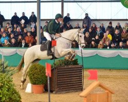 jumper Diamond's Future (Irish Sport Horse, 2004, from All The Diamonds)