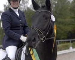 dressage horse Donatella M 3 (Zweibrücken, 2008, from Danone II)