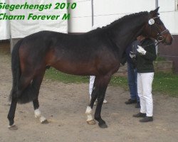 dressage horse Charm Forever M (German Riding Pony, 2007, from Charm of Nibelungen)