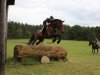 jumper Ex und Hopp 3 (Hanoverian, 2004, from Embassy I)