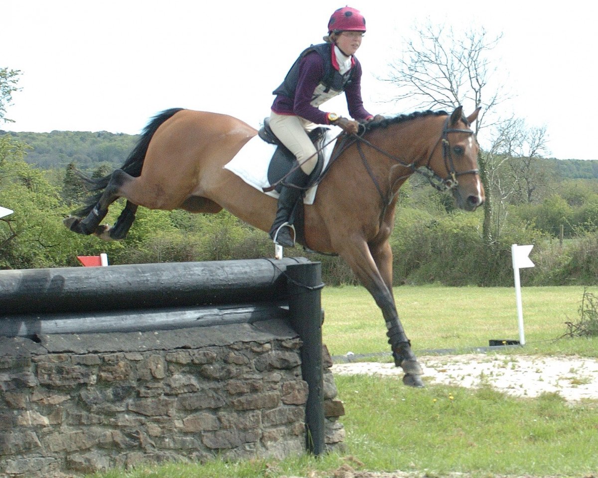 jumper Turn up Trumps (Welsh Partbred, 2005, from Talponciau Fairy Whisper)