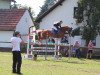 broodmare Angel PS (Bavarian, 2004, from Cosino B)