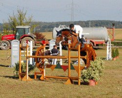 jumper Coolion (Hanoverian, 2002, from Cordalme Z)