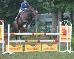 dressage horse Donna Summer (Westfale, 2000, from Dunhill H)