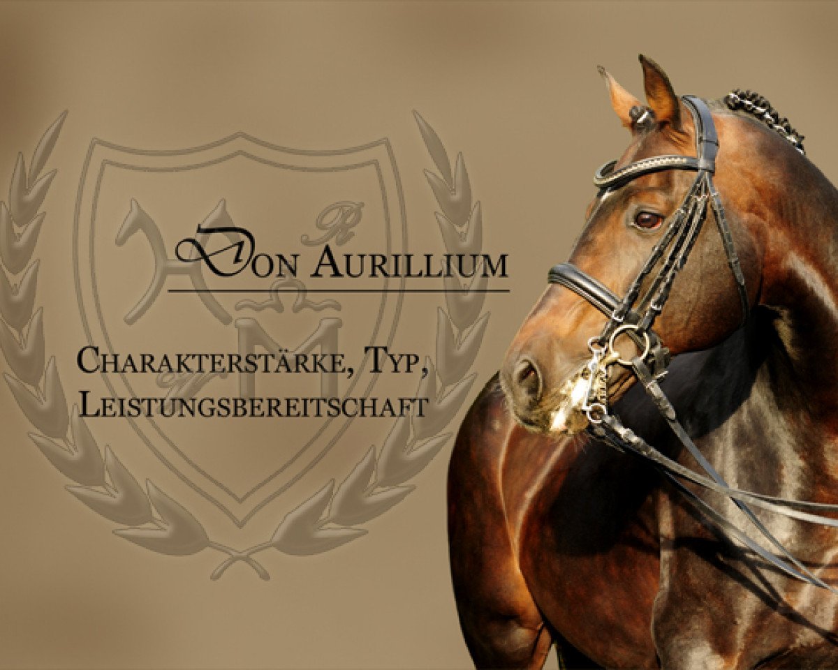 Deckhengst Don Aurillium (Mecklenburger, 2000, von D'Olympic)