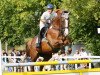 broodmare Melisse des Thermes (Selle Français, 2000, from Elan de la Cour)