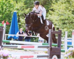 jumper Delilah 43 (Hanoverian, 2007, from Don Frederico)