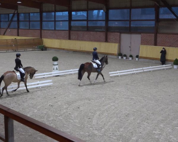 Reitturnier Hamburg-Friedrichshulde/Sylva Kuhrt 2022