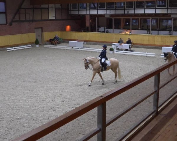 Reitturnier Hamburg-Friedrichshulde/Sylva Kuhrt 2022