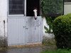 dressage horse Ricanto (Oldenburg, 2006, from Ramoneur 6)