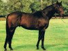 stallion Orfano xx (Thoroughbred, 1983, from Dschingis Khan xx)