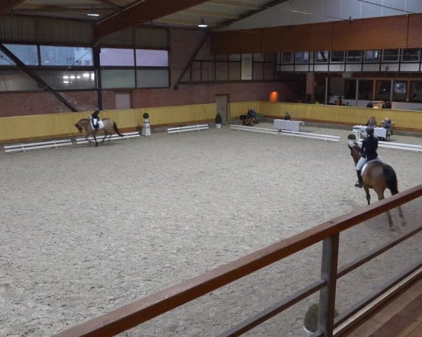 Reitturnier Hamburg-Friedrichshulde/Sylva Kuhrt 2022