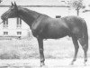 stallion Cor de Chasse xx (Thoroughbred, 1935, from Aethelstan xx)