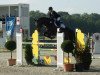 jumper Schierker Feuerstein (German Sport Horse, 2003, from Samba Hit I)