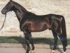 stallion Imperial (Hanoverian, 1967, from Impuls)