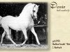 stallion Demir ox (Arabian thoroughbred, 1958, from Hadban Enzahi 1952 EAO)