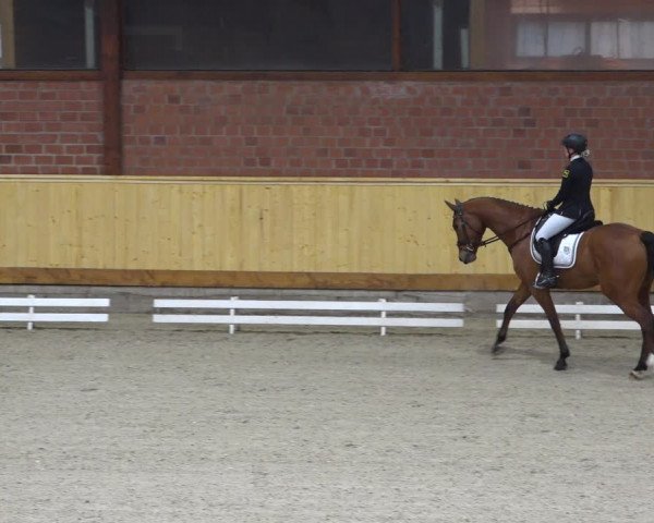 Reitturnier Hamburg-Friedrichshulde/Sylva Kuhrt 2022