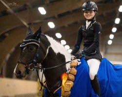 jumper Eiluns Lakritz (German Riding Pony, 2008, from Orkan)