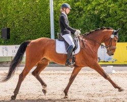 broodmare Samana Cay (Zweibrücken, 2011, from Salento)