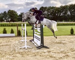 jumper Hickstead's High (Holsteiner, 2015, from Hickstead)